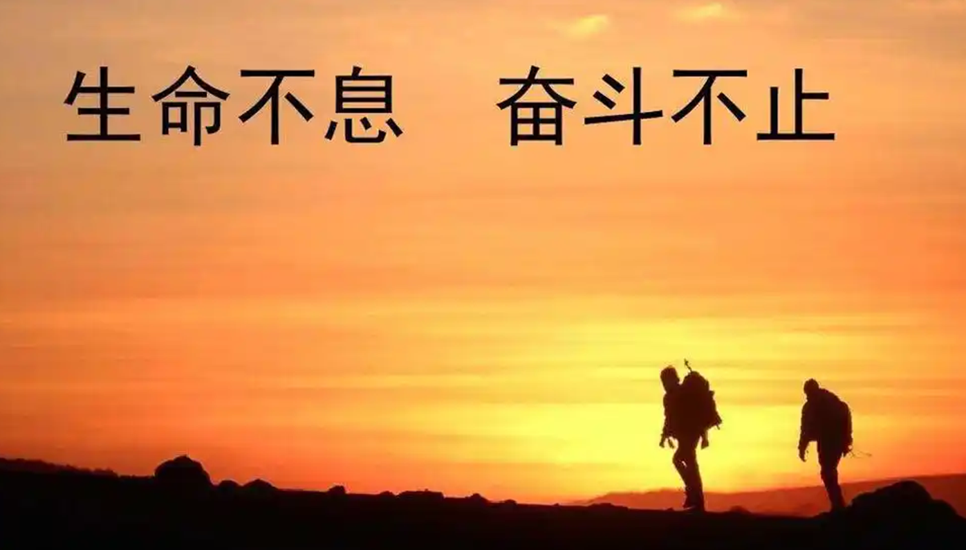 你还在到处找项目？还在当韭菜？我靠卖项目一个月收入5万+，曾经我也是个失败者。好项目网-专注分享网络创业项目落地实操课程 – 全网首发_高质量创业项目输出好项目网