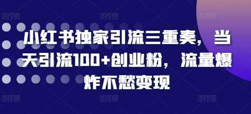小红书独家引流三重奏，当天引流100+创业粉，流量爆炸不愁变现【揭秘】好项目网-专注分享网络创业项目落地实操课程 – 全网首发_高质量创业项目输出好项目网