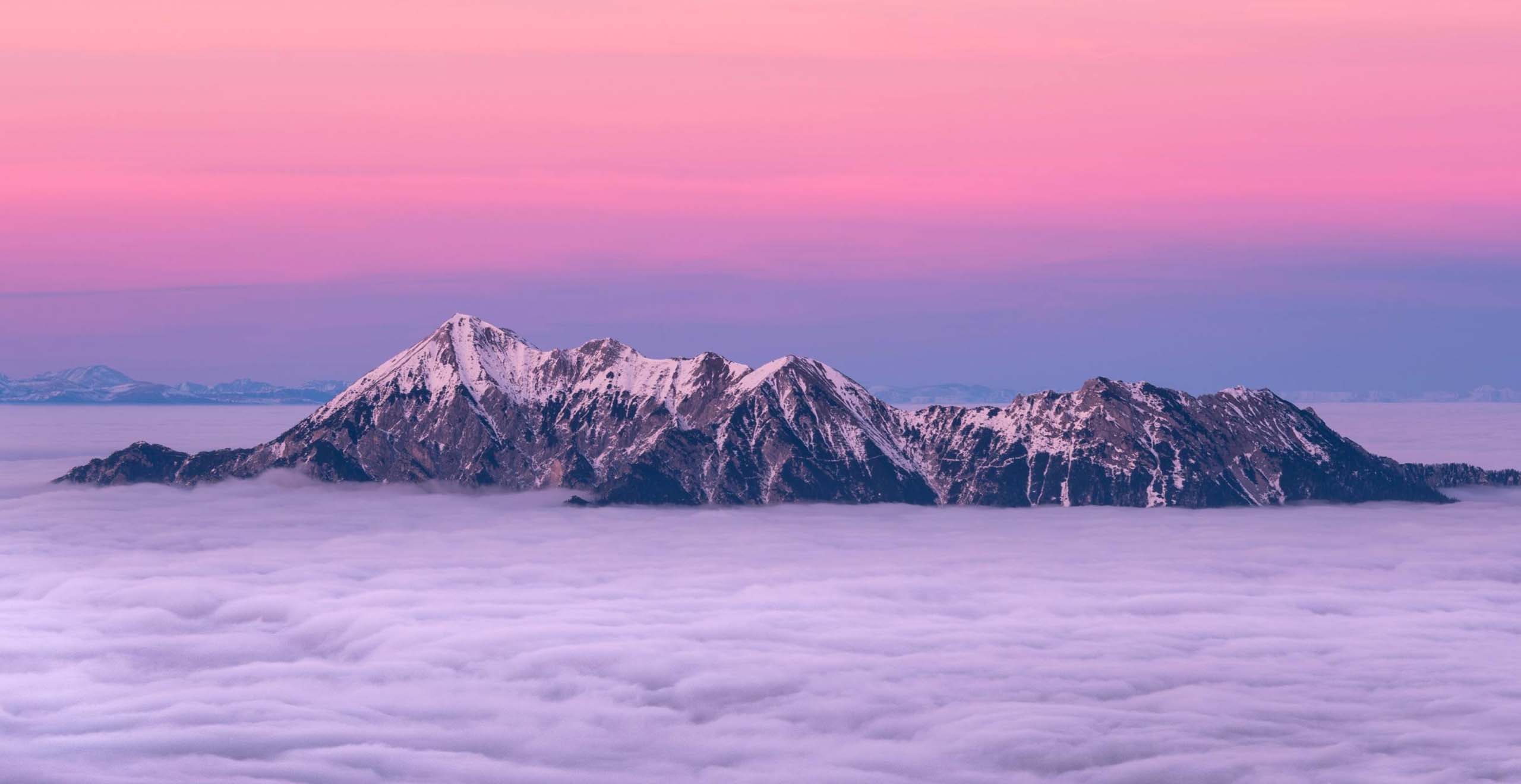 好项目网-专注分享网络创业项目落地实操课程 – 全网首发_高质量创业项目输出