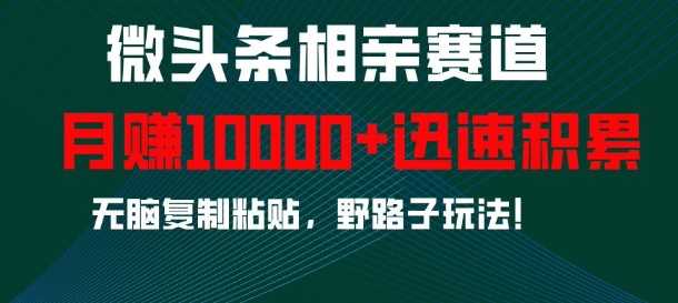 微头条相亲赛道，迅速积累，无脑复制粘贴，野路子玩法，月入1w好项目网-专注分享网络创业项目落地实操课程 – 全网首发_高质量创业项目输出好项目网